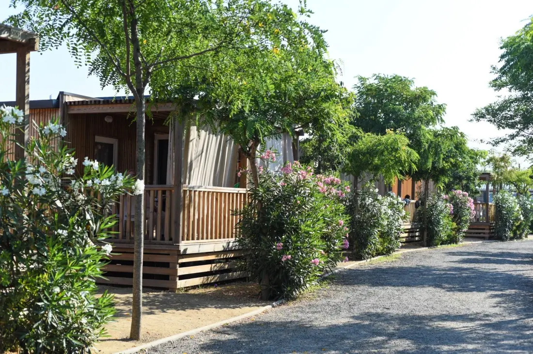 Camping Resort Els Pins 3 étoiles★★★