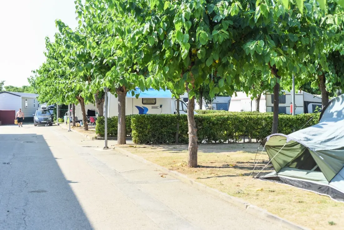 Camping Resort Els Pins 3 étoiles★★★