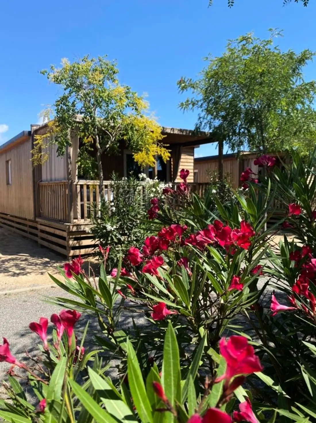 Camping Resort Els Pins 3 étoiles★★★