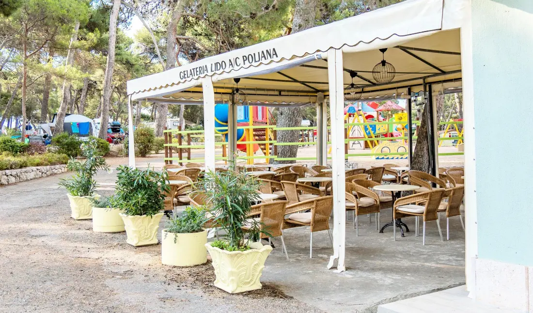 Camping Poljana