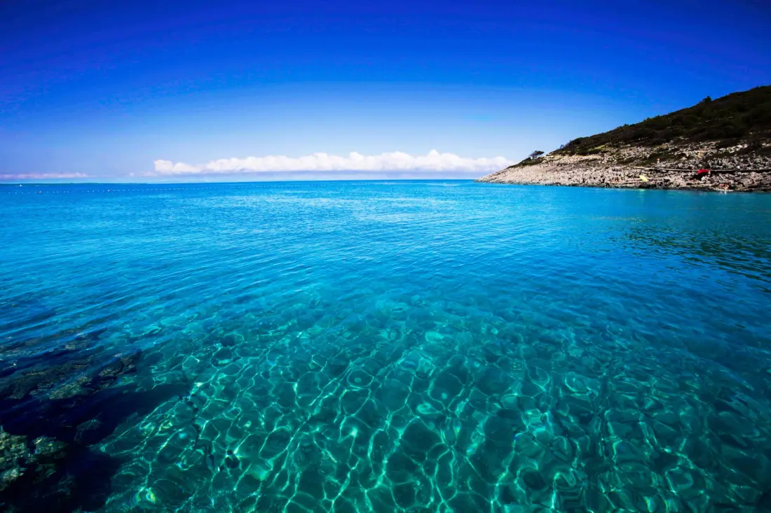 Baia Holiday Poljana 3 étoiles★★★
