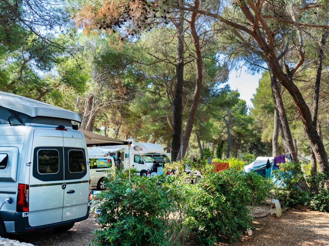 Baia Holiday Poljana 3 étoiles★★★