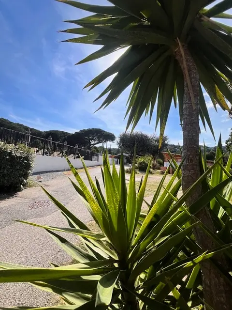 Camping la Provençale 4 étoiles★★★★
