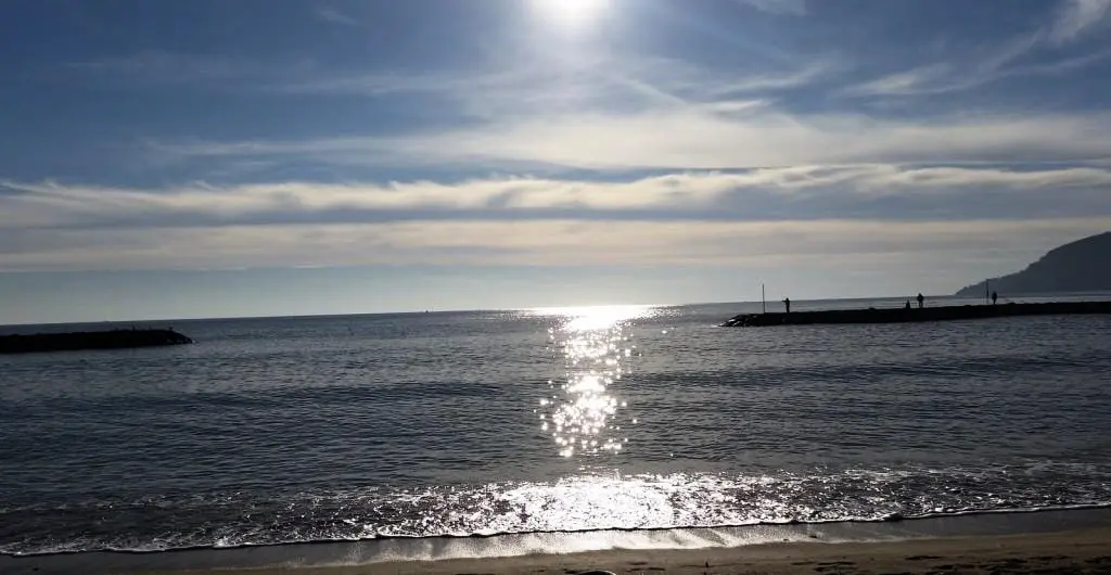 Camping la Provençale 4 étoiles★★★★