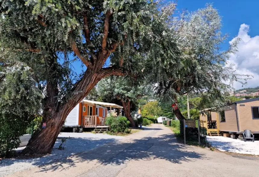 Camping la Provençale 4 étoiles★★★★