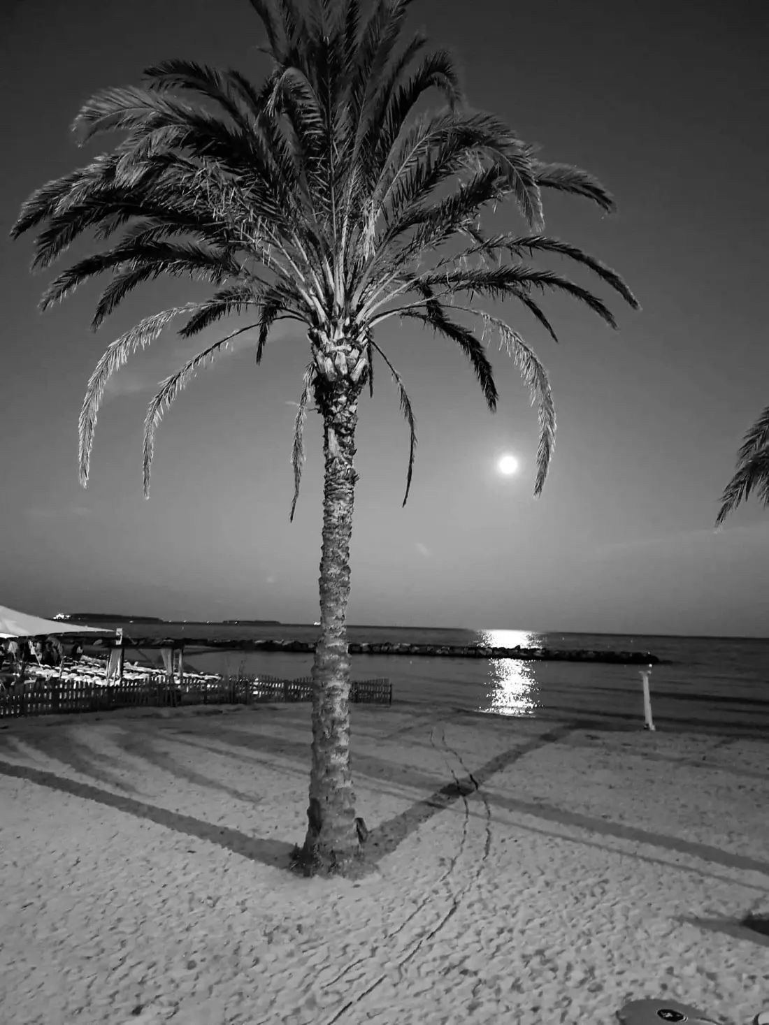 Camping la Provençale 4 étoiles★★★★