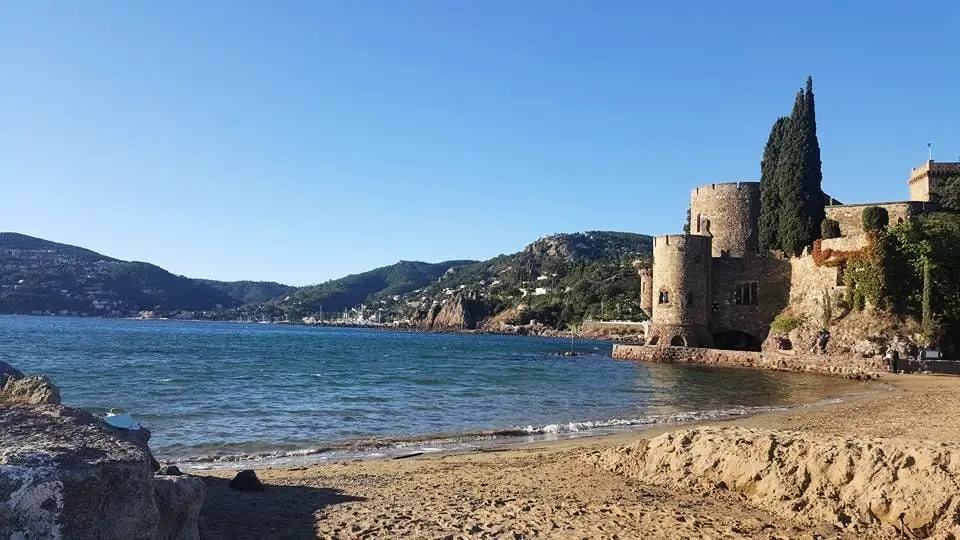 Camping la Provençale 4 étoiles★★★★
