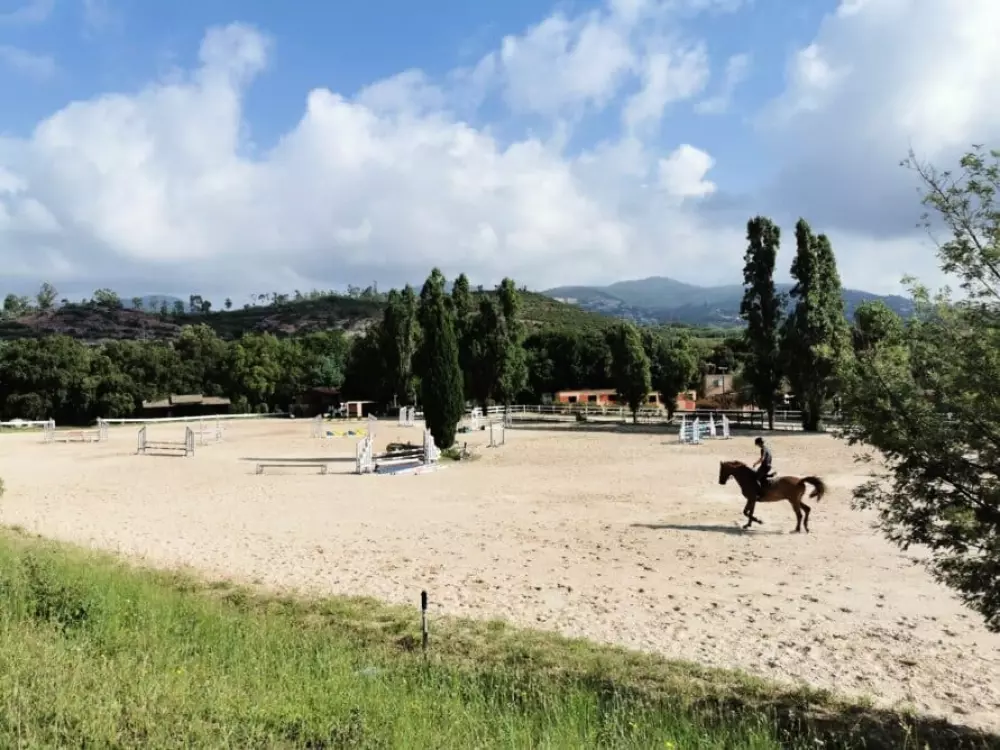 Camping La Provençale 4 étoiles★★★★