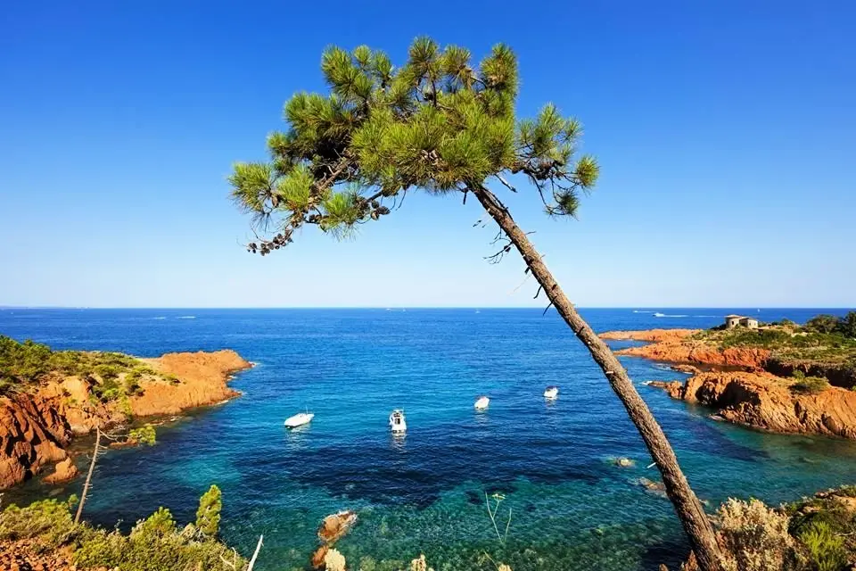 Camping la Provençale 4 étoiles★★★★