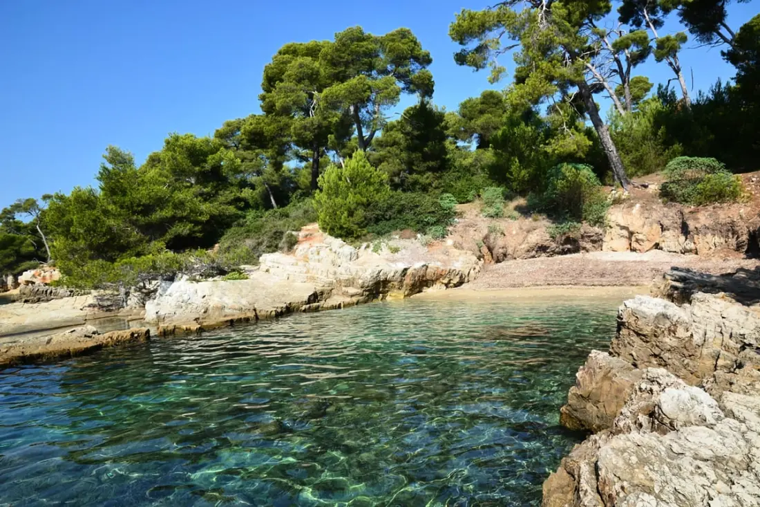 Sublime Studio Avec Grande Terrasse Et Piscine