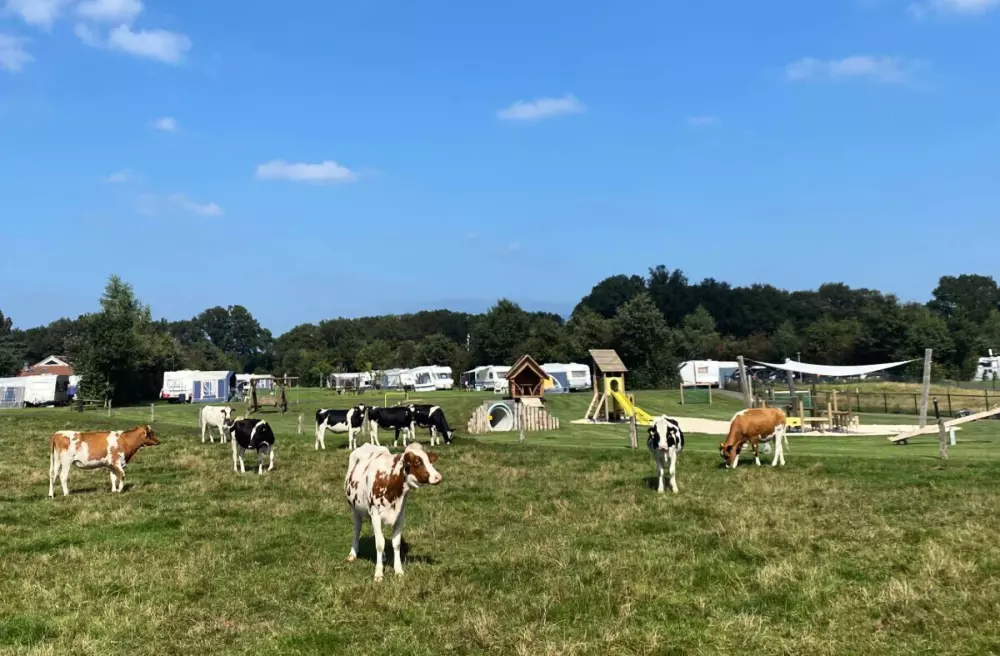 Camping Dal van de Mosbeek (Vodatent)