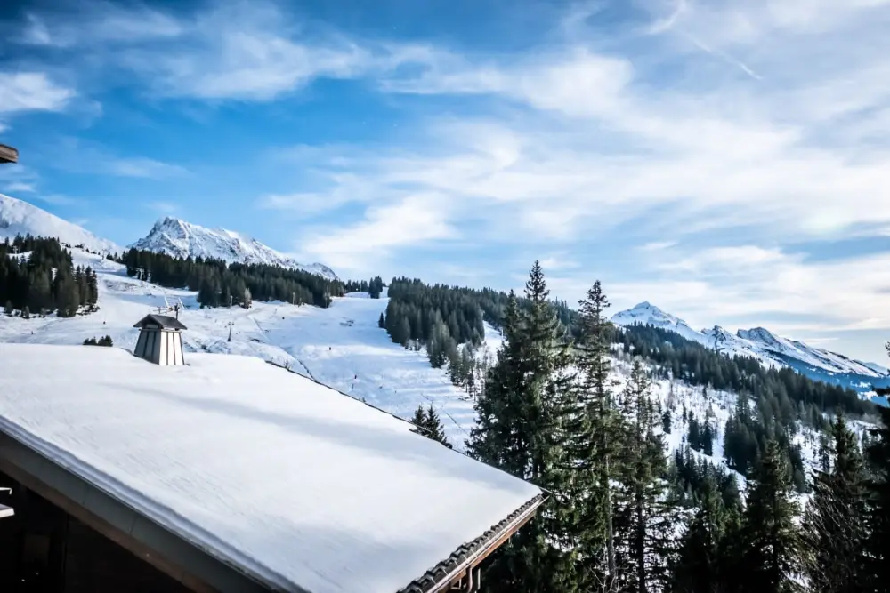 Slow Chalet Maison Des Bois à 7min Des Pistes à Pied - Ski Nordique + Alpin