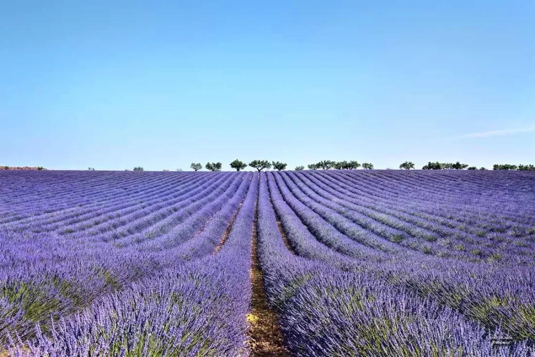 Flower Camping Provence Vallée 3 étoiles★★★
