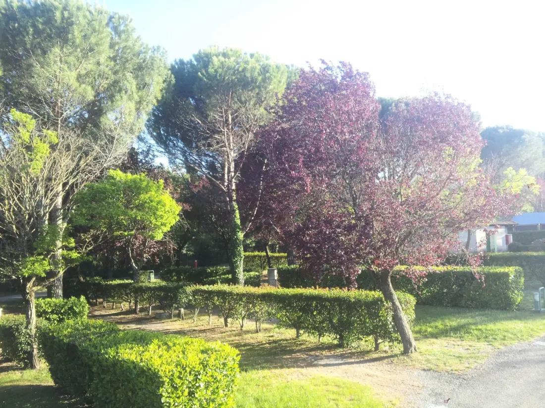 Flower Camping Provence Vallée 3 étoiles★★★