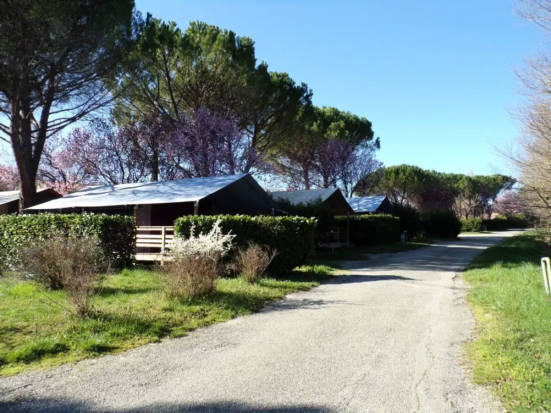 Flower Camping Provence Vallée 3 étoiles★★★