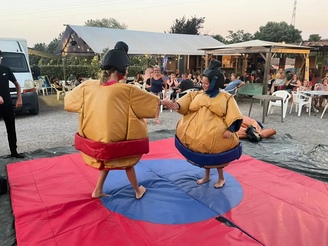 Flower Camping Provence Vallée 3 étoiles★★★