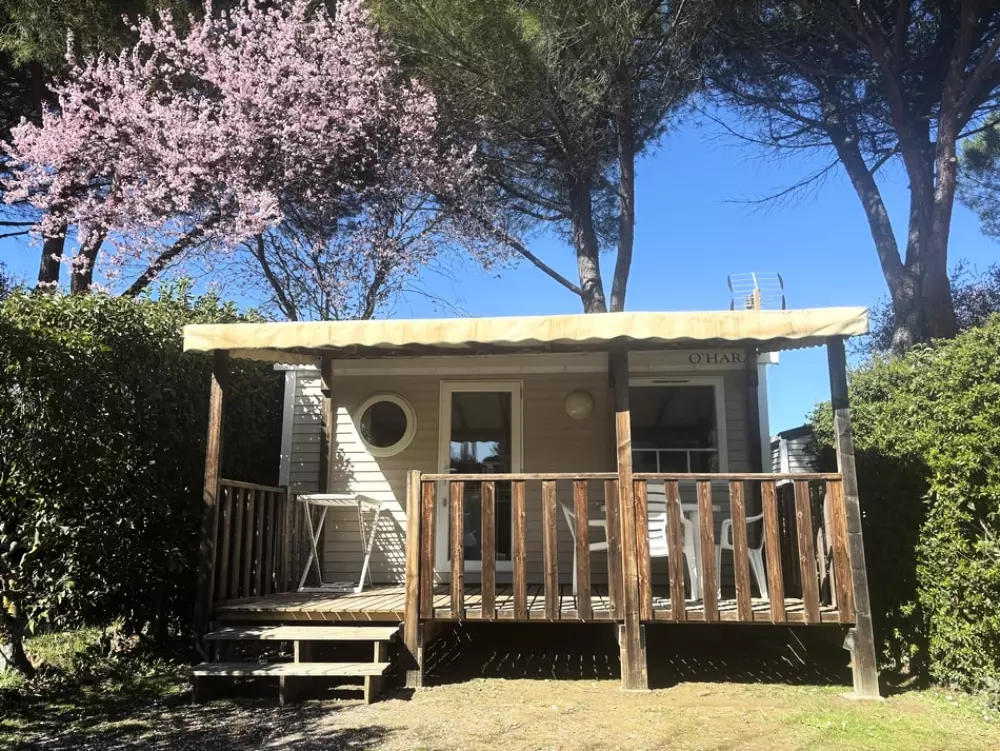 Flower Camping Provence Vallée 3 étoiles★★★