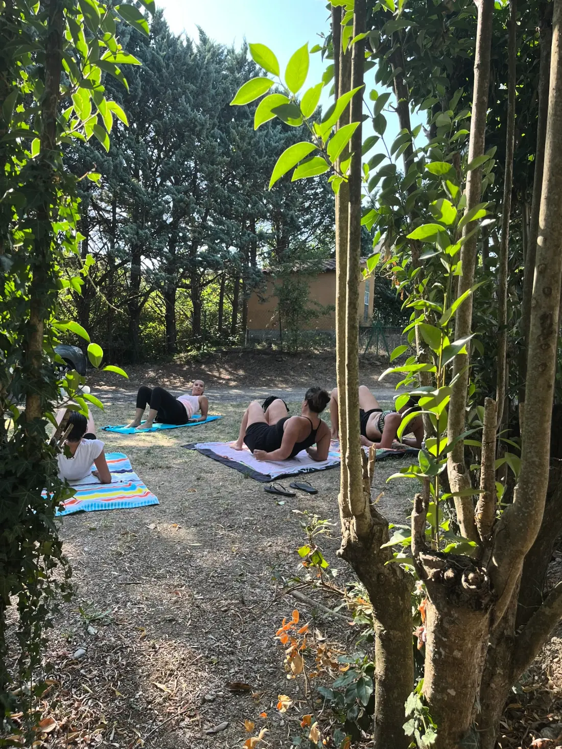Flower Camping Provence Vallée 3 étoiles★★★