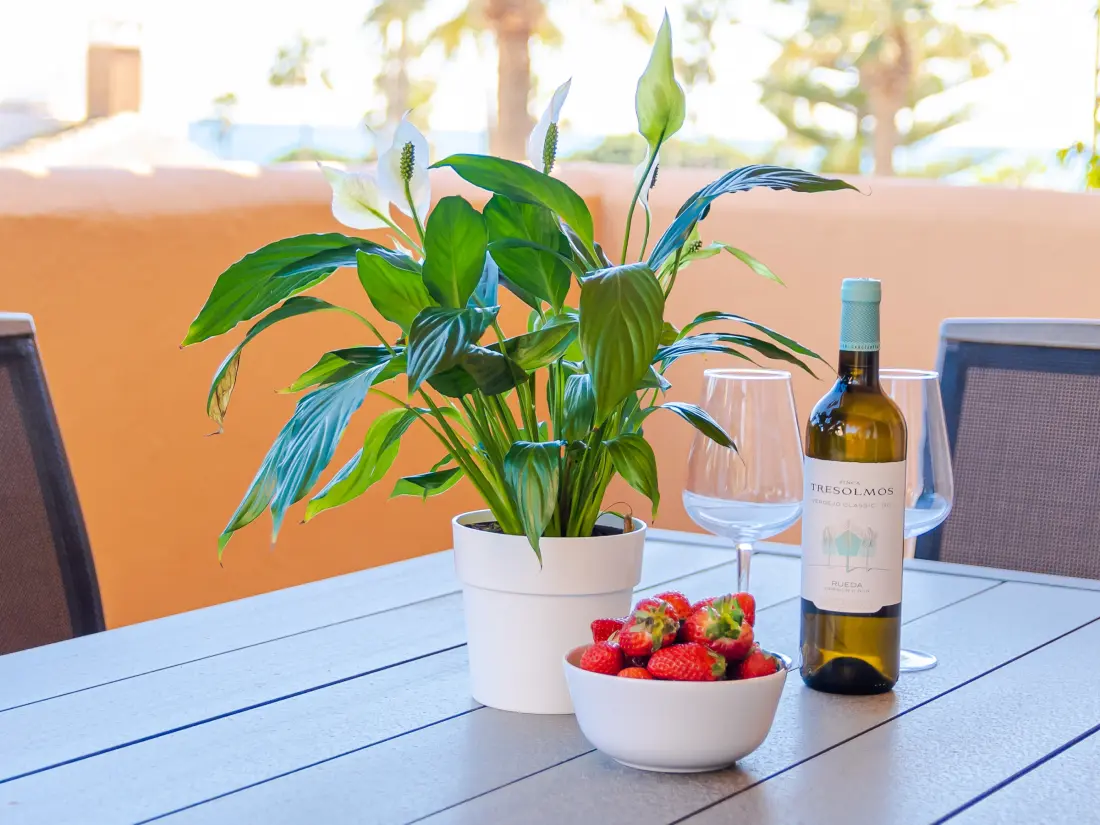 Location de Vacances Marbella 168