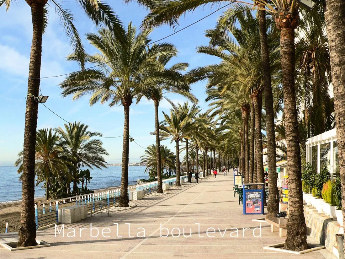 Location de Vacances Marbella 249