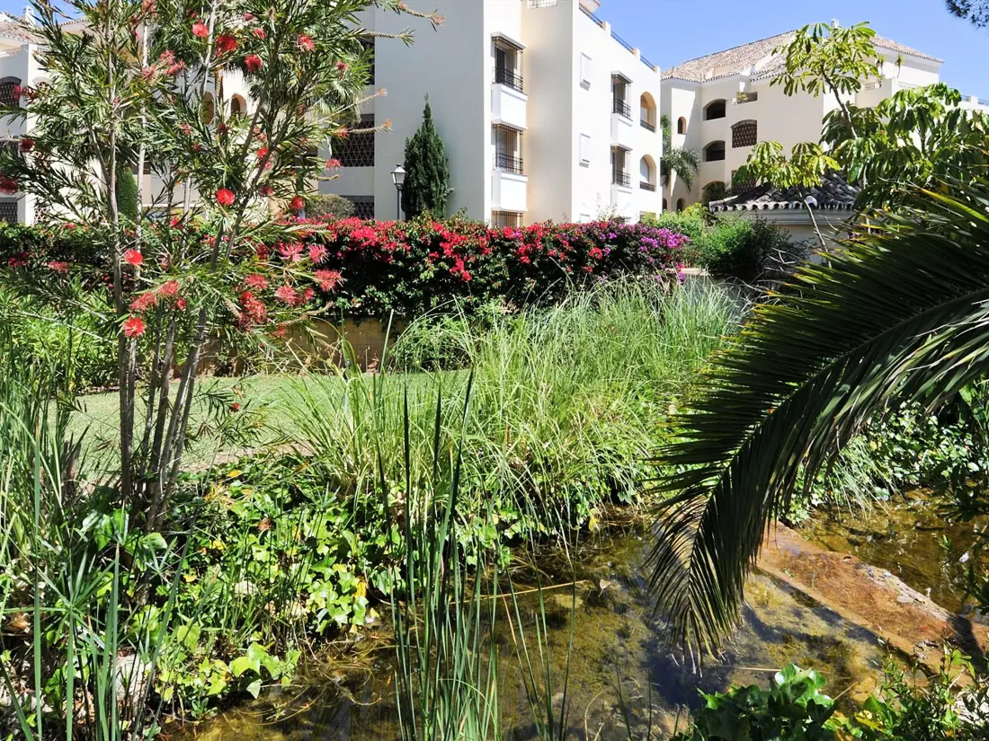 Location de Vacances Marbella 249
