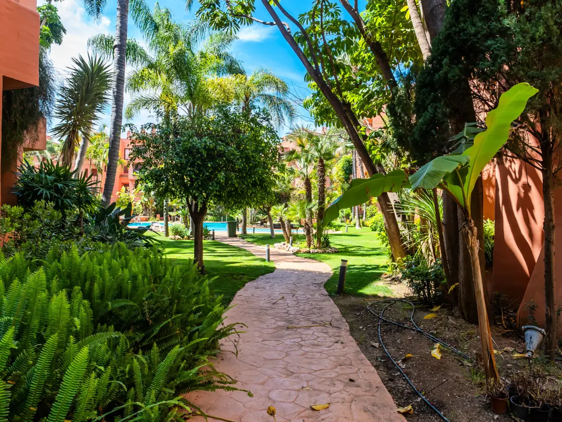 Location de Vacances Marbella 251