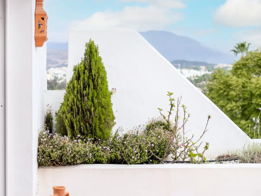 Location de Vacances Marbella 323
