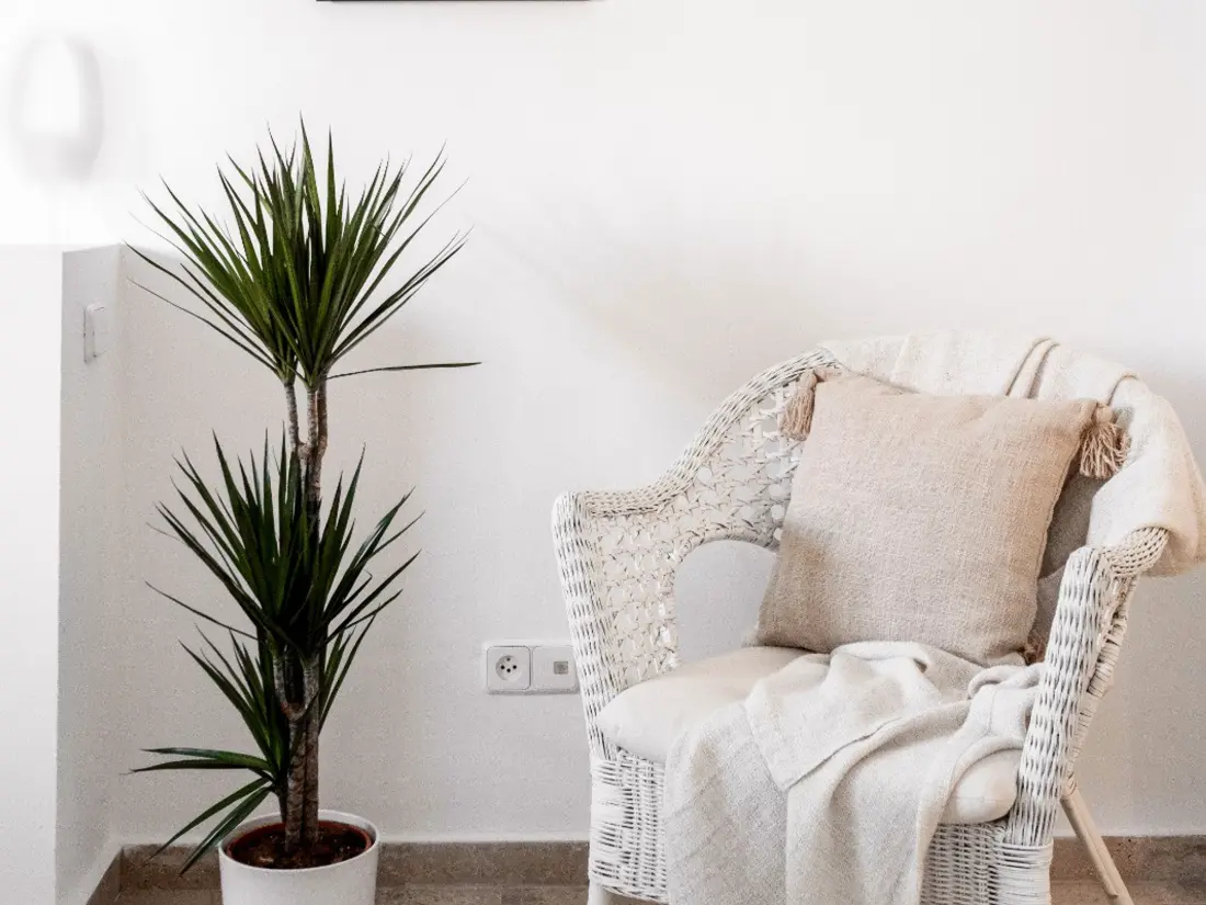 Location de Vacances Marbella 323