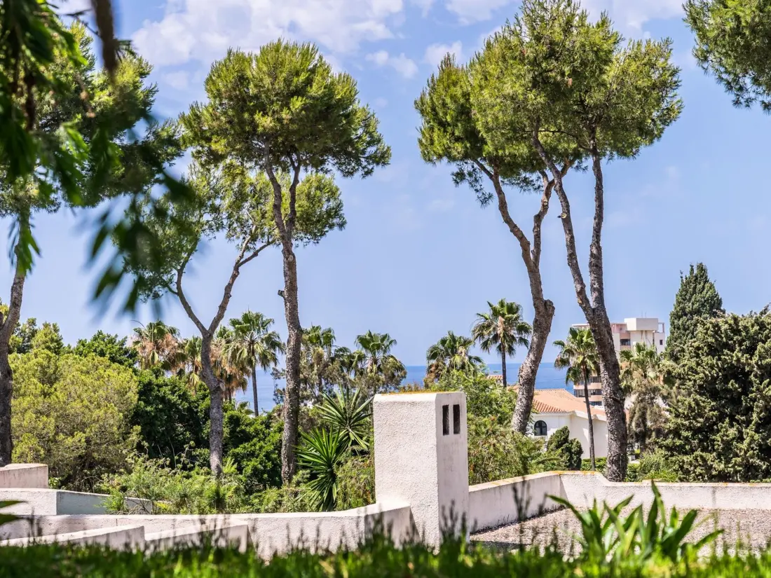 Location de Vacances Marbella 342