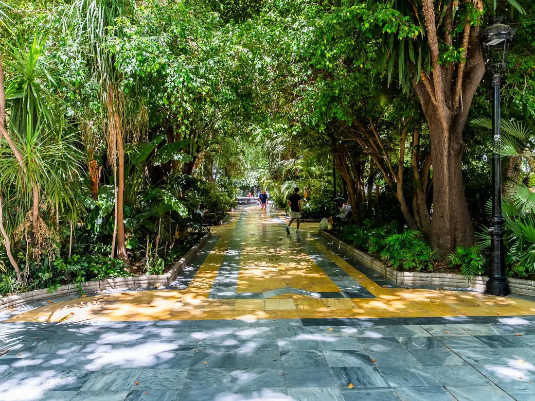Location de Vacances Marbella 351