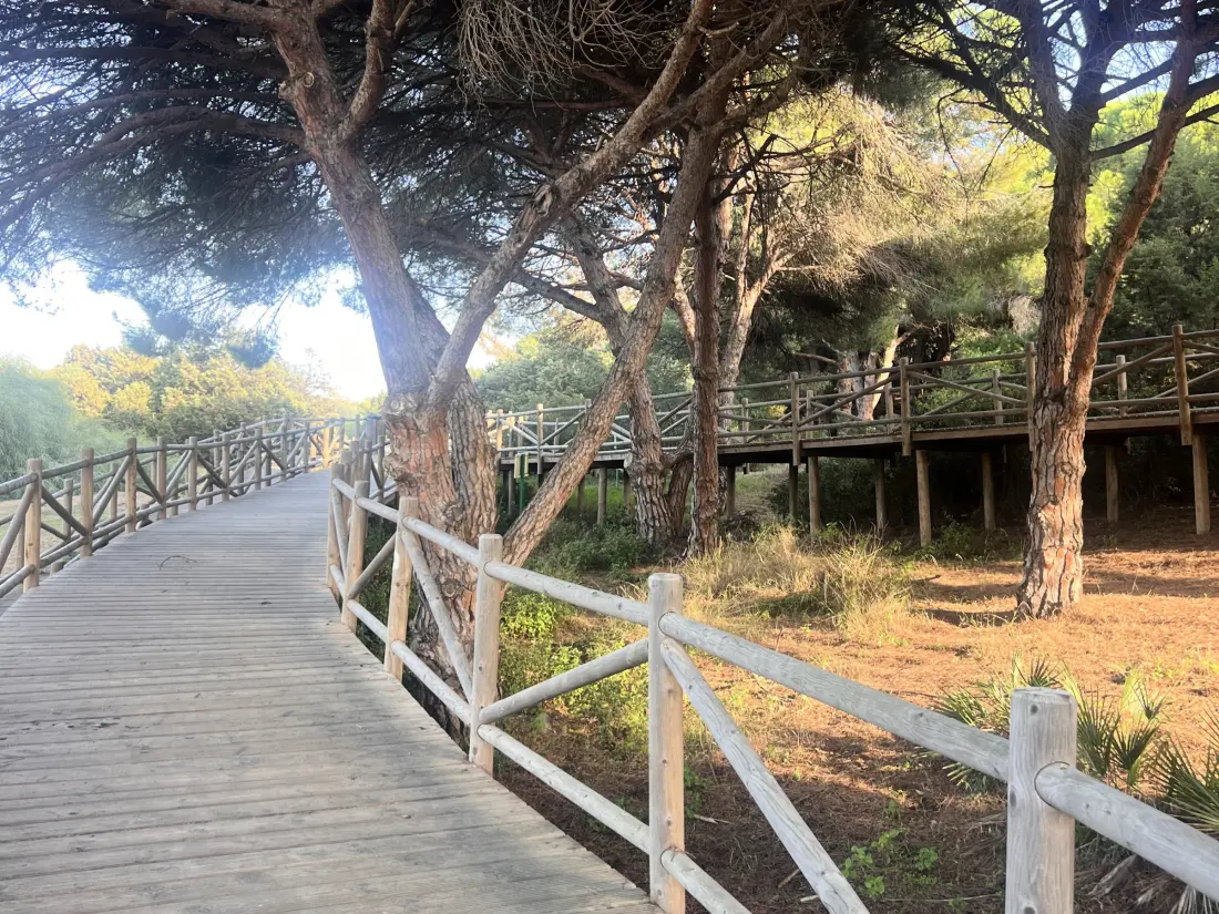 Location de Vacances Marbella 203