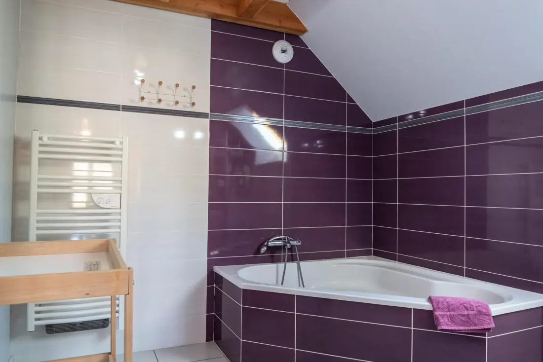 Gîte de France Gîte les violettes d'aubrac 8/11 personnes à rieutort 3 épis