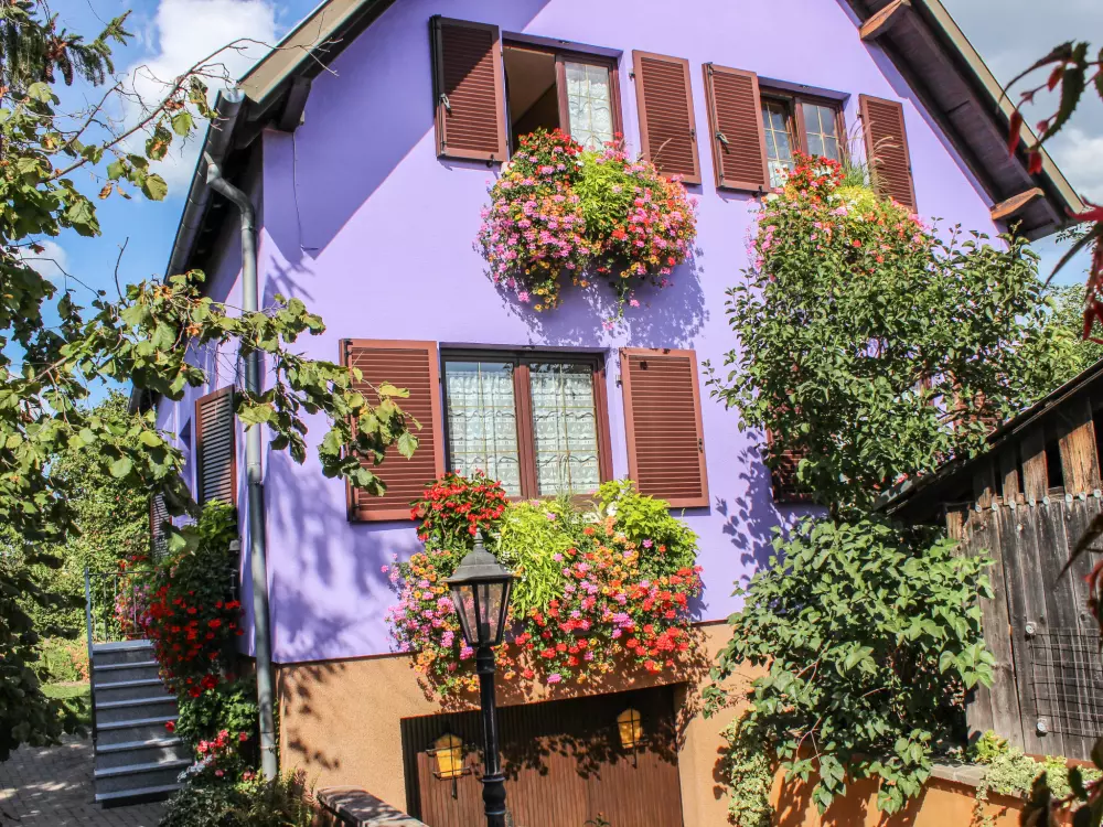 Résidence Résidence jaune et rose