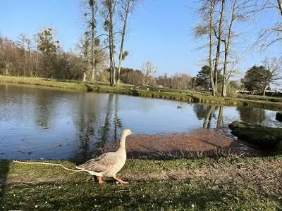 Camping Domaine de la Verte Vallée3 étoiles★★★