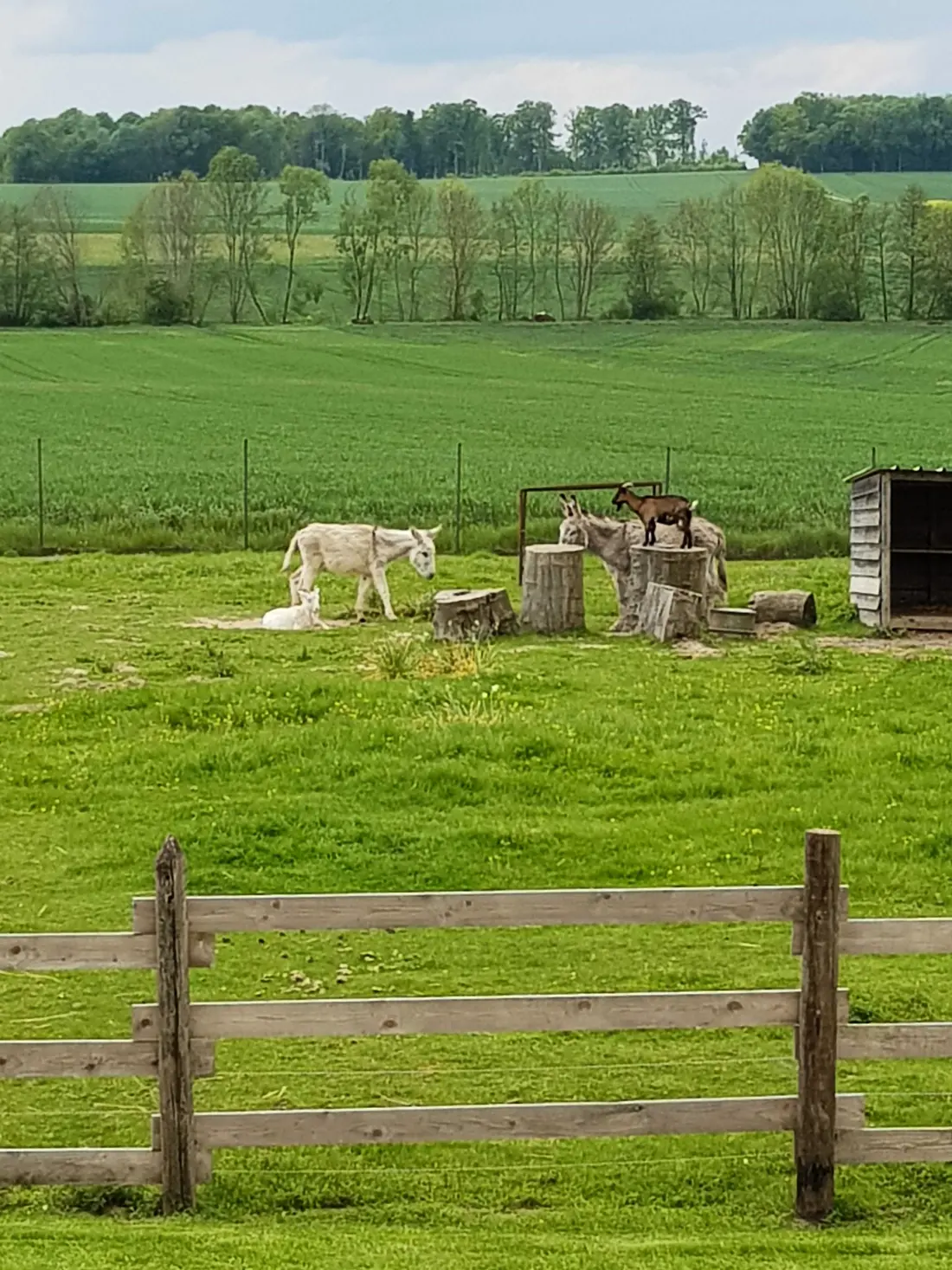 Gîte de France La petite ferme 3 épis