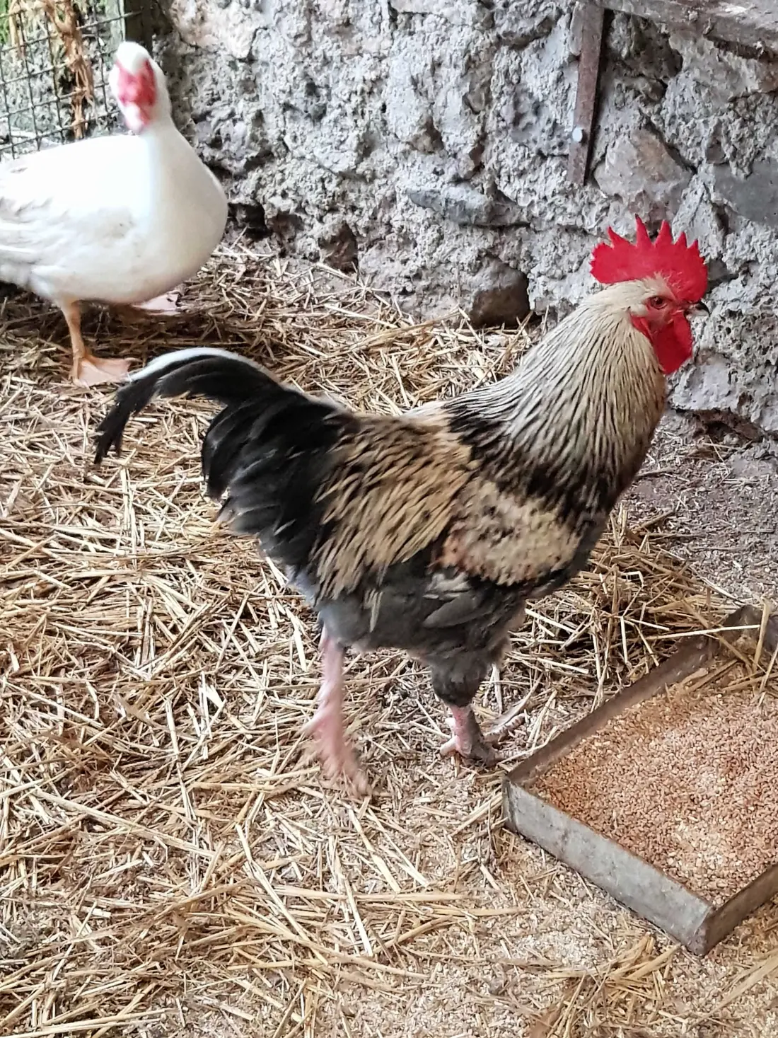 Gîte de France La petite ferme 3 épis