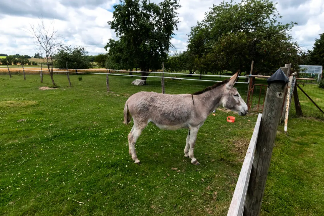 Gîte de France Terre de brie 7 pers 3 épis