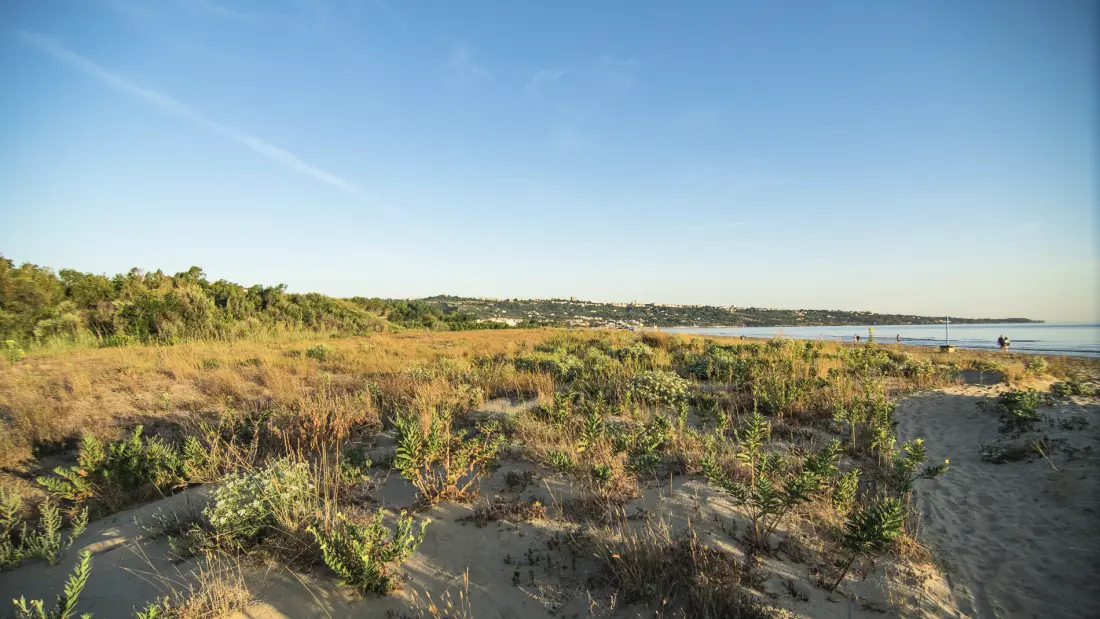 Il Pioppeto Camping & Residence