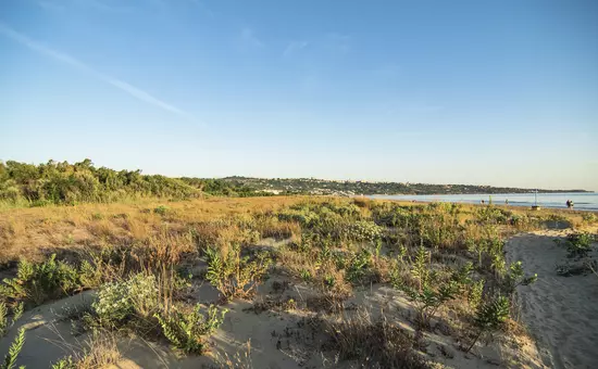 Il Pioppeto Camping & Residence