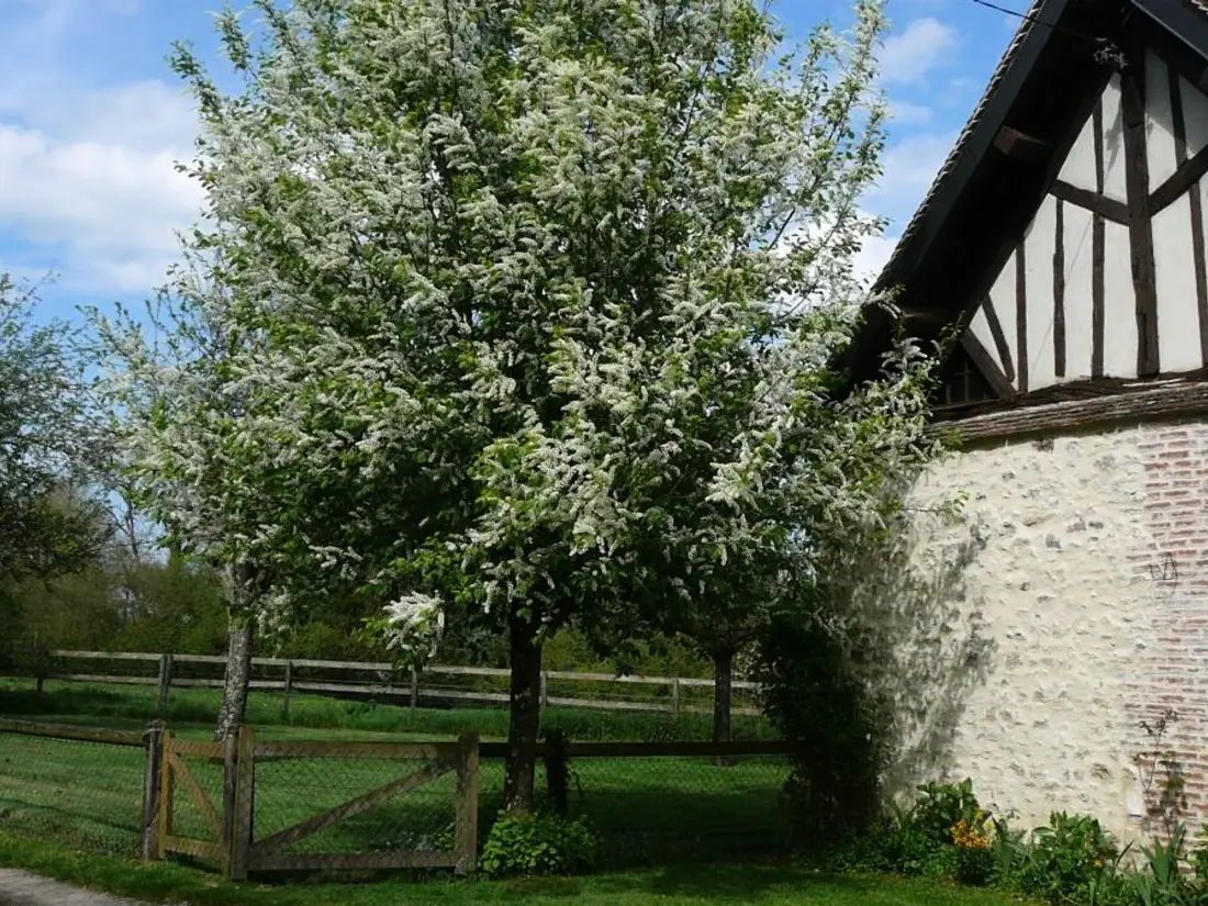 Maison de Vacances Marmouillé