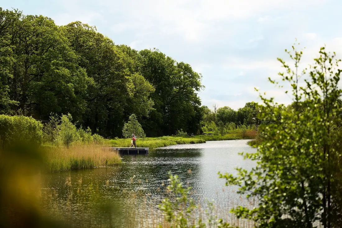 Center Parcs - Domaine Villages Nature Paris