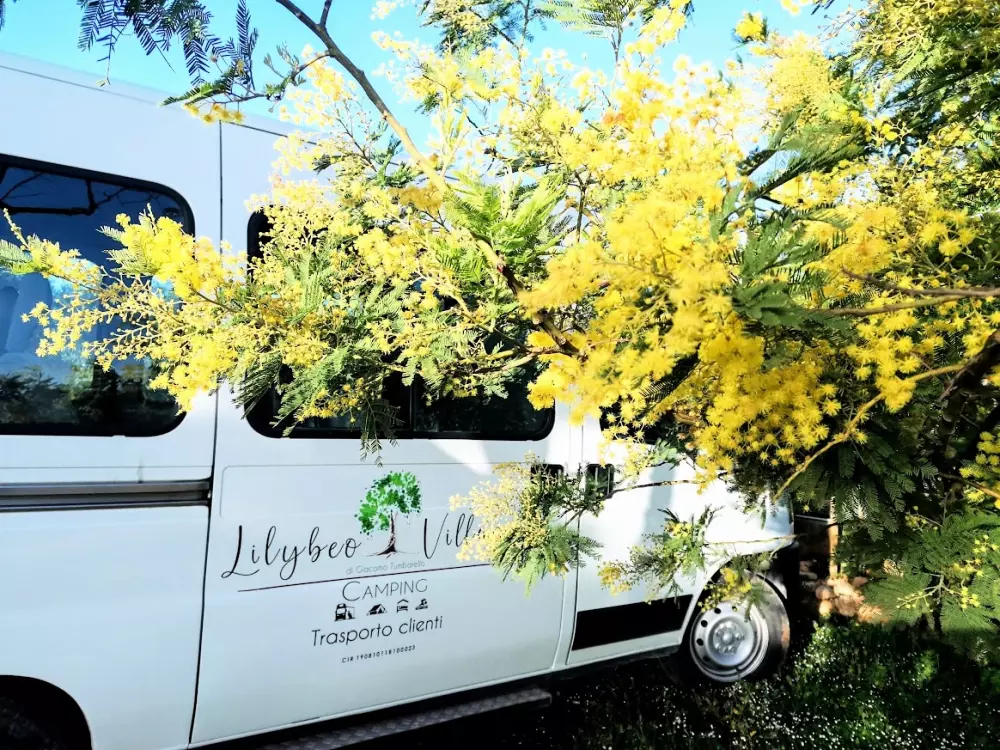 Lilybeo Village Camping & Residence 3 étoiles★★★