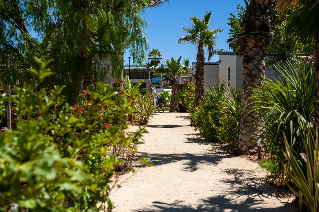 Camping Paradis Robinson 4 étoiles★★★★