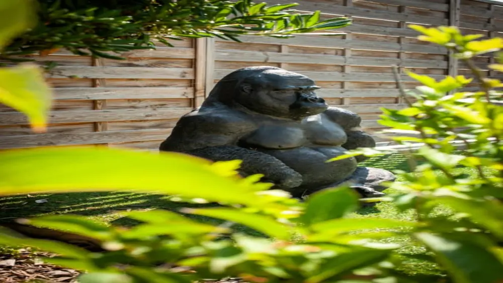 Camping Paradis Robinson 4 étoiles★★★★