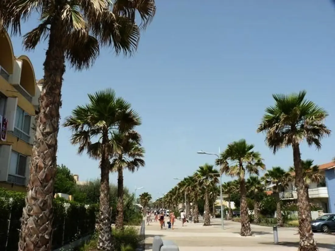 Location de Vacances MARSEILLAN-PLAGE 154