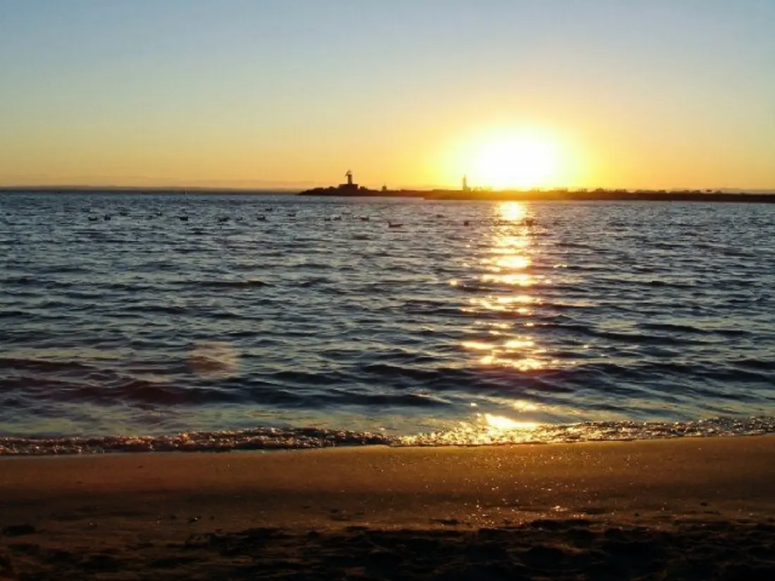 Location de Vacances MARSEILLAN-PLAGE 154