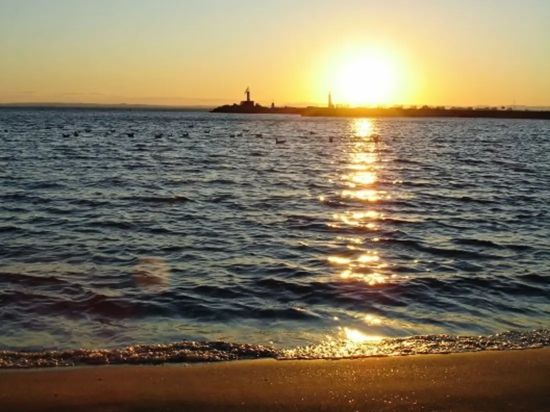 Location de Vacances MARSEILLAN-PLAGE 164