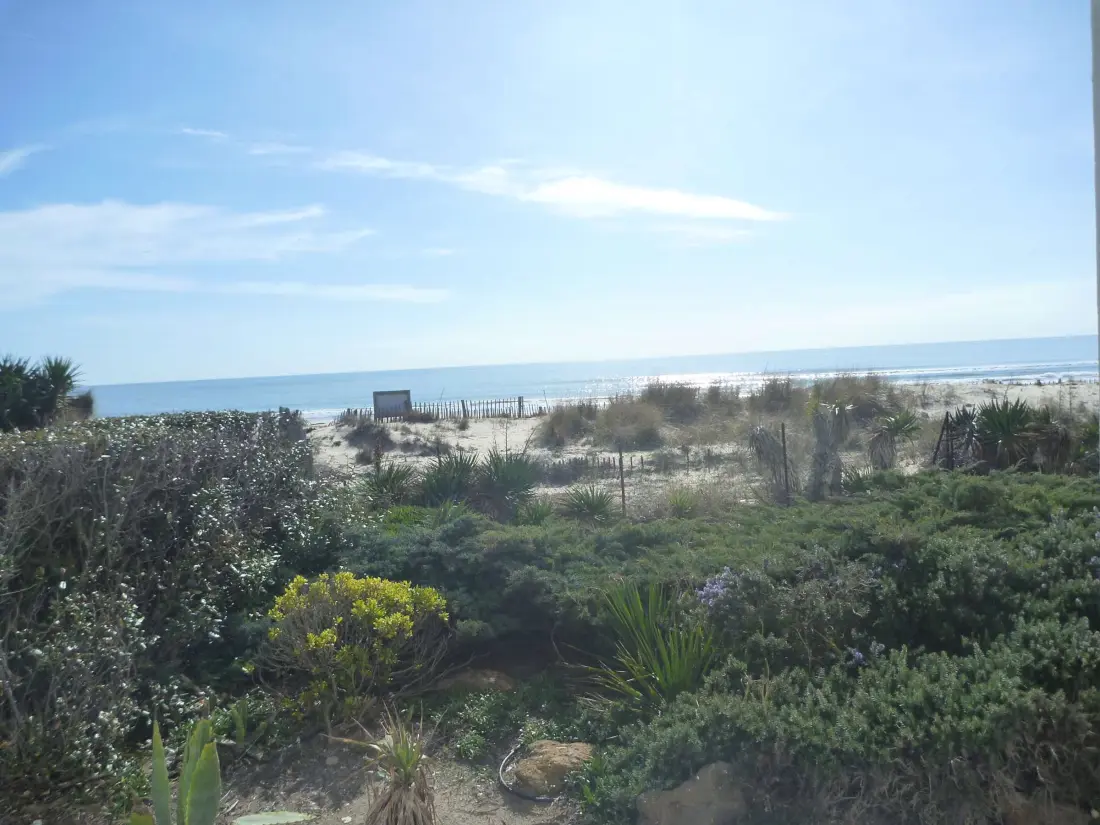 Location de Vacances MARSEILLAN-PLAGE 263