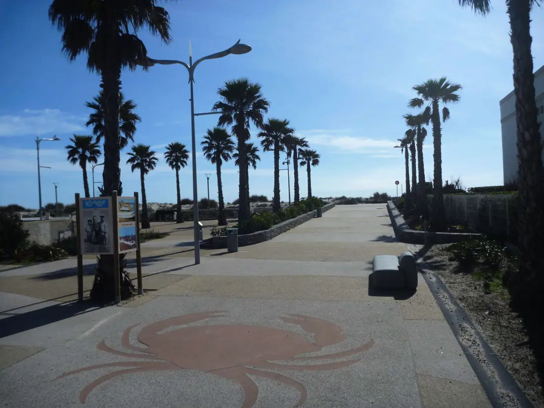 Location de Vacances MARSEILLAN-PLAGE 555