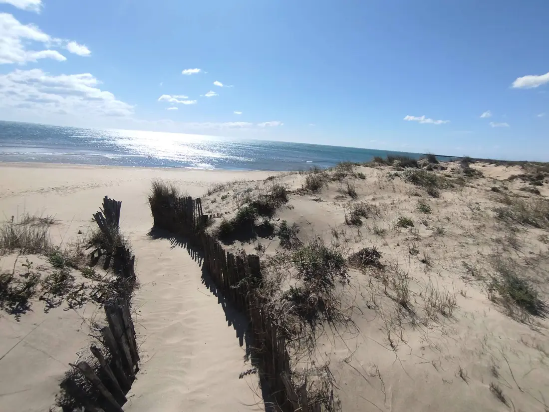 Location de Vacances MARSEILLAN-PLAGE 657